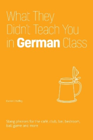 Cover of What They Didn't Teach You in German Class