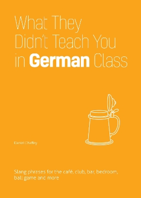 Book cover for What They Didn't Teach You in German Class