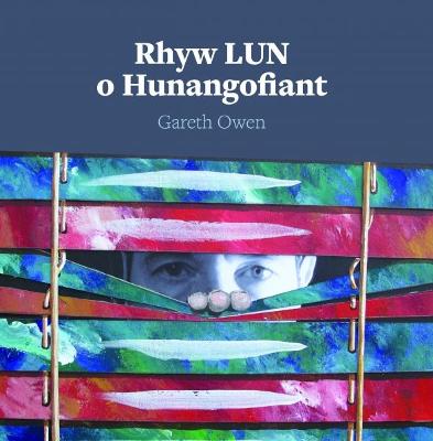 Book cover for Rhyw LUN o Hunangofiant