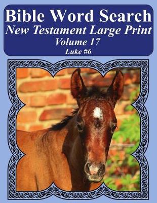 Book cover for Bible Word Search New Testament Large Print Volume 17