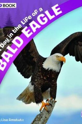 Cover of A Day in the Life of a Bald Eagle: A 4D Book