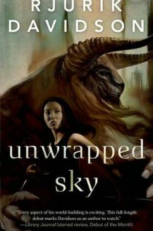 Cover of Unwrapped Sky