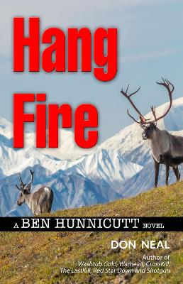 Book cover for Hang Fire