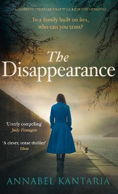 Book cover for The Disappearance