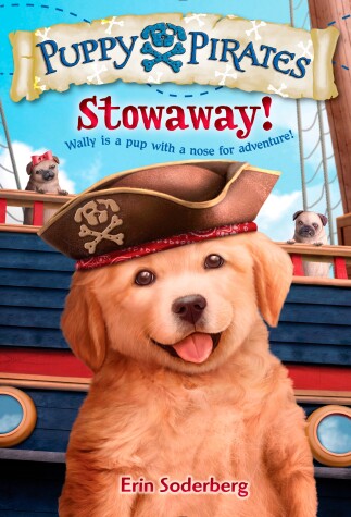 Cover of Stowaway!