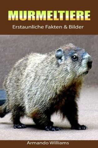 Cover of Murmeltiere