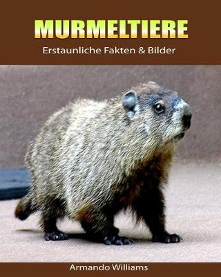 Book cover for Murmeltiere