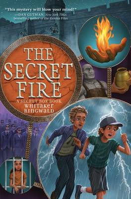 Book cover for The Secret Fire