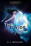 Book cover for The Divide