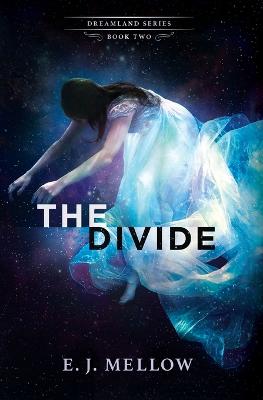 Cover of The Divide