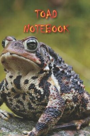 Cover of Toad Notebook