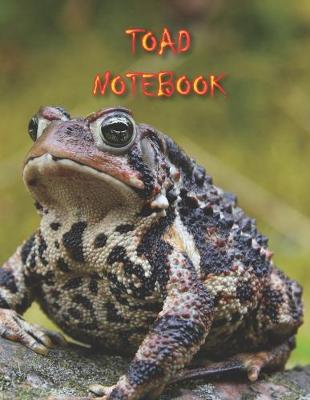 Book cover for Toad Notebook