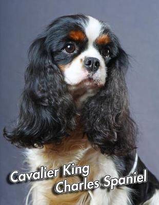 Book cover for Cavalier King Charles Spaniel