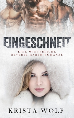 Book cover for Eingeschneit