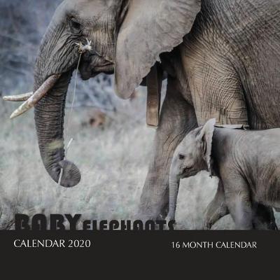 Book cover for Baby Elephants Calendar 2020