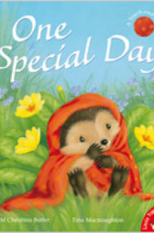 Cover of One Special Day