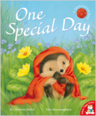 Book cover for One Special Day