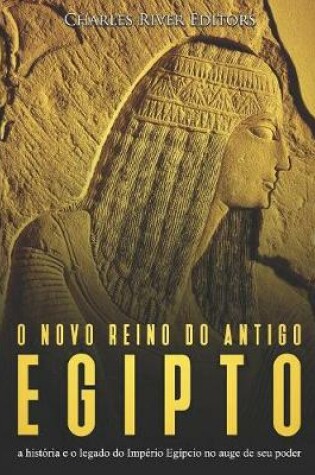 Cover of O novo reino do antigo Egito