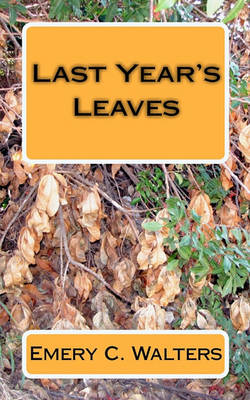 Book cover for Last Year's Leaves