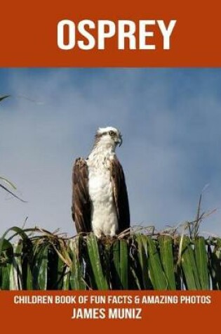 Cover of Osprey