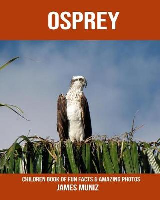 Book cover for Osprey