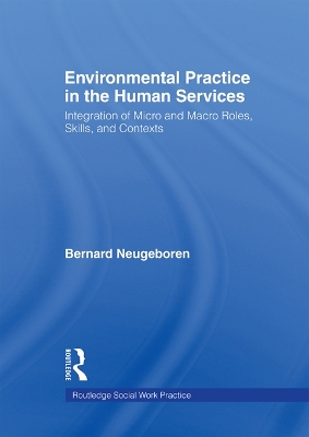 Book cover for Environmental Practice in the Human Services