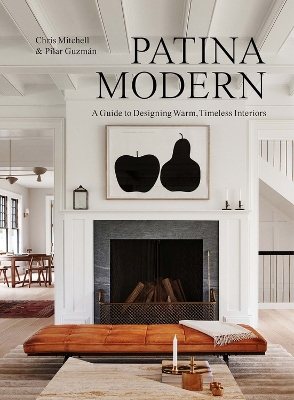 Book cover for Patina Modern