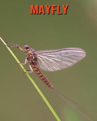 Book cover for Mayfly