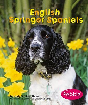 Book cover for English Springer Spaniels