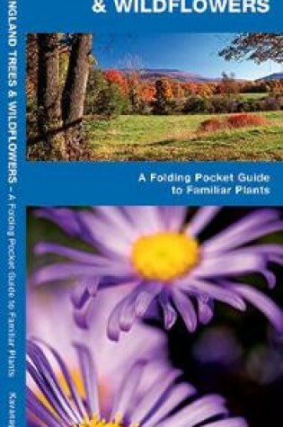 Cover of New England Trees & Wildflowers