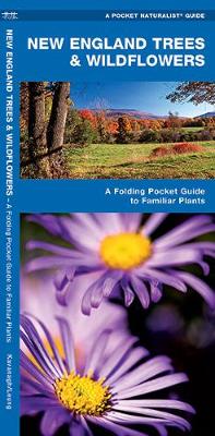 Book cover for New England Trees & Wildflowers