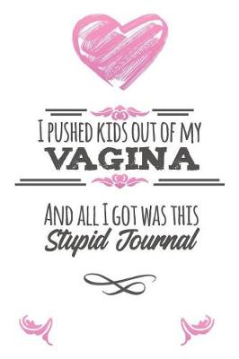 Book cover for I Pushed Kids Out Of My Vagina And All I Got Was This Stupid Journal