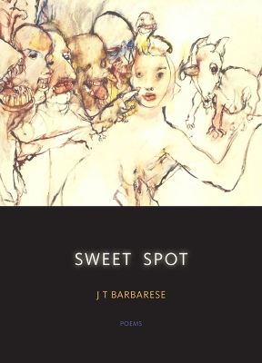 Book cover for Sweet Spot