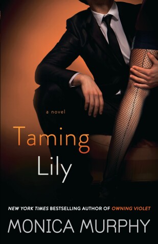 Book cover for Taming Lily