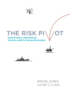 Book cover for The Risk Pivot