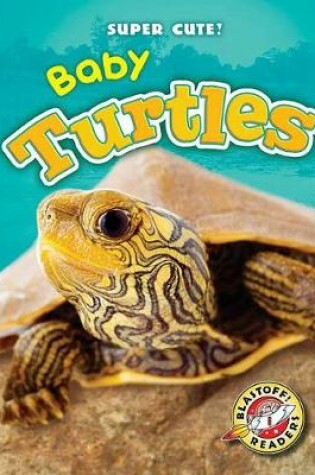 Cover of Baby Turtles
