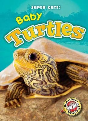 Book cover for Baby Turtles