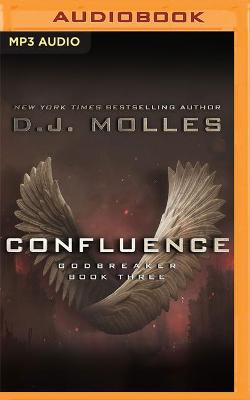 Book cover for Confluence