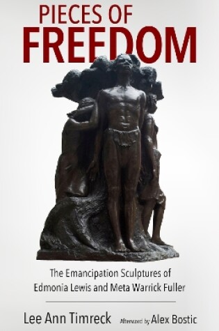 Cover of Pieces of Freedom