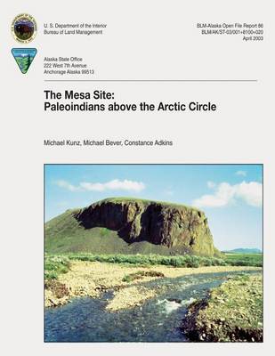 Book cover for The Mesa Site