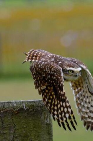 Cover of Burrowing Owl Taking Flight