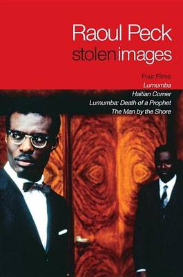 Book cover for Stolen Images