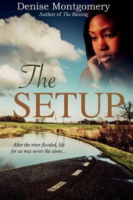 Book cover for The Setup