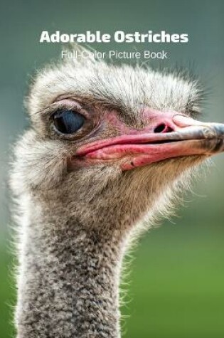 Cover of Adorable Ostriches Full-Color Picture Book