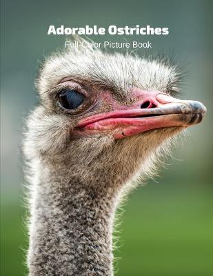 Book cover for Adorable Ostriches Full-Color Picture Book