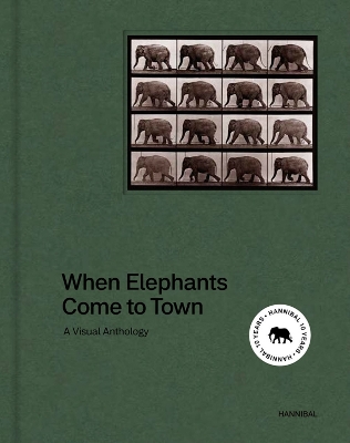 Book cover for When Elephants Come to Town