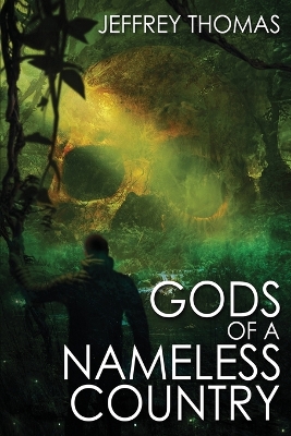 Book cover for Gods of a Nameless Country