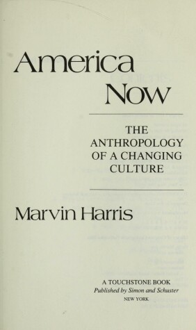 Book cover for American Now