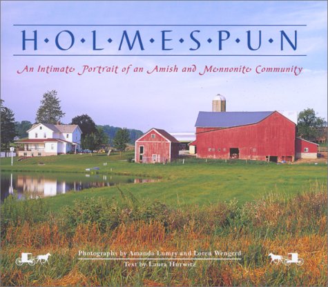 Book cover for Holmespun