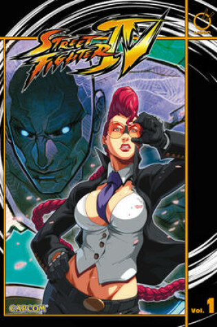 Cover of Street Fighter IV Volume 1